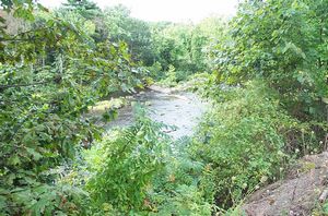 gal/Agawam Canal and the Southworth Company/tn_DCP_3196.jpg